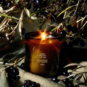 NIB Flamingo Estate Candle - Ancient Agrigento Olive Tree